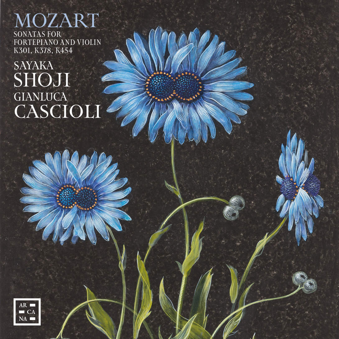 Flagrant duo (Mozart, Sonates pour violon et pianoforte, Shoji, Cascioli – Arcana)